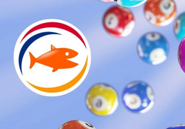 Winn-Itt biedt nu ook online bingo in Nederland aan